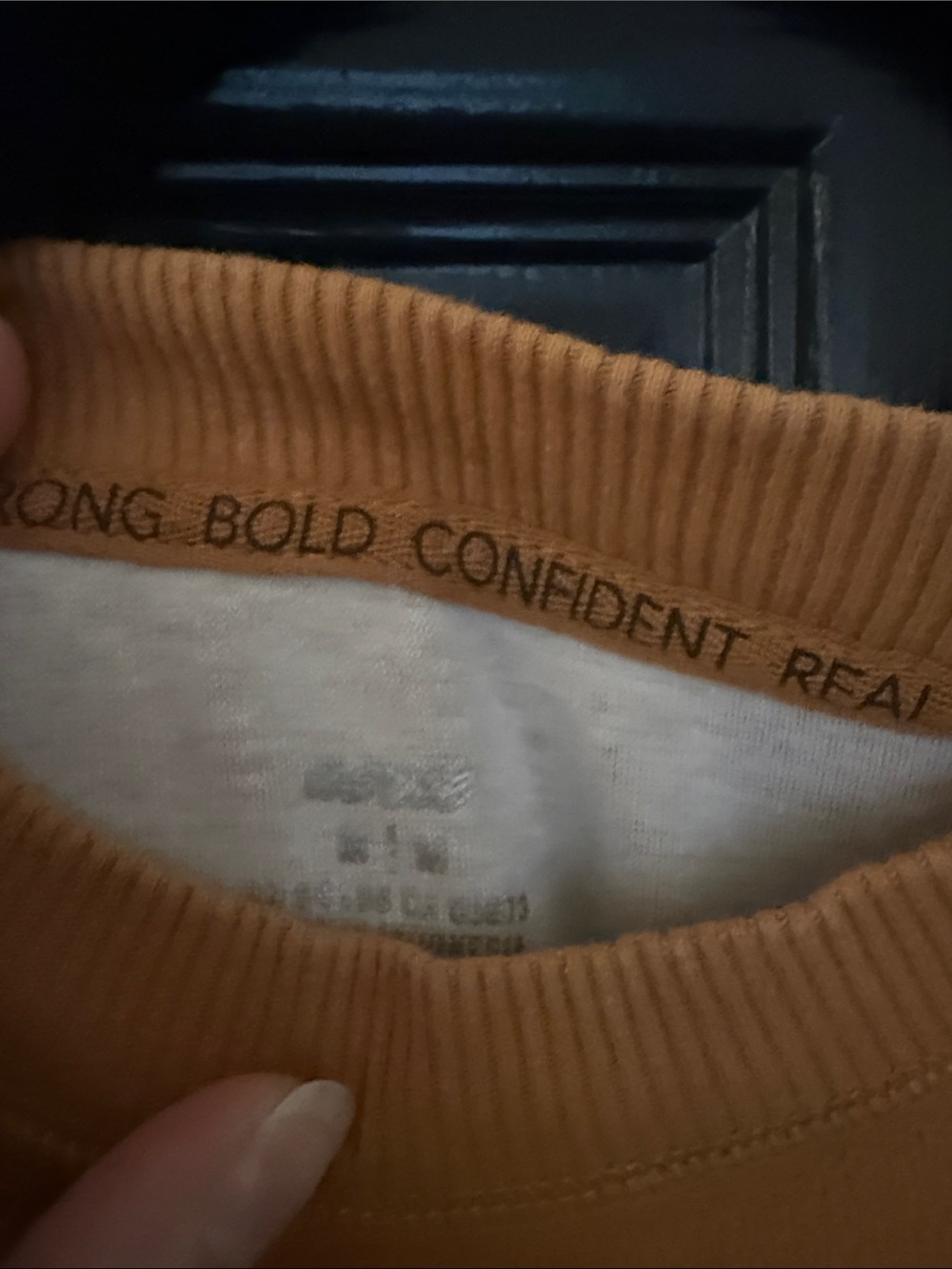 Aerie  Crewneck Sweater - Camel Color - Picture 2 of 5